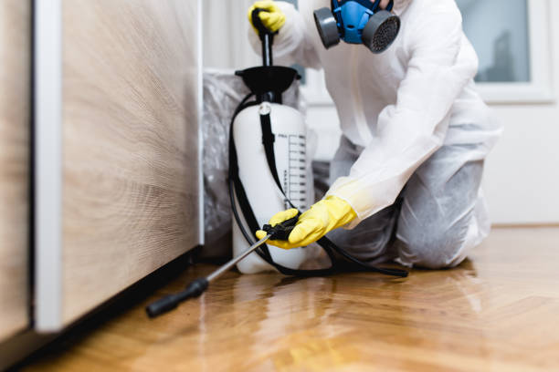 Best Pest Control Near Me  in Paramount Long Meadow, MD