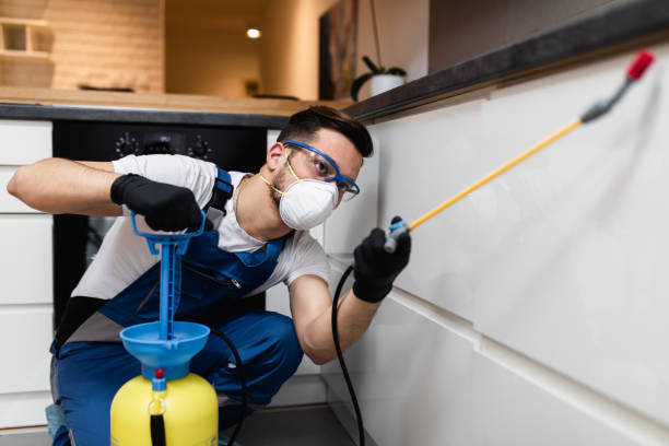 Best Commercial Pest Control Services  in Paramount Long Meadow, MD