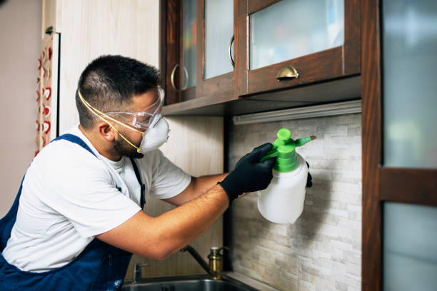 Best Pest Inspection Near Me  in Paramount Long Meadow, MD